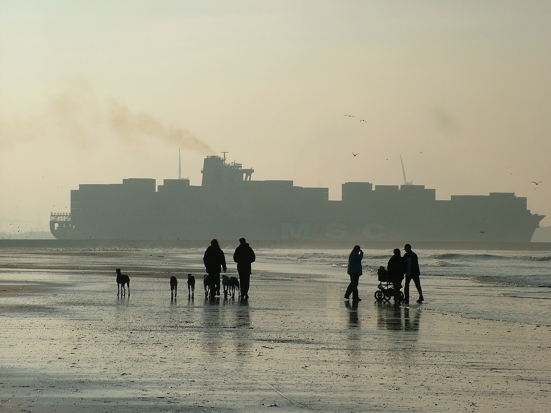 Hoek van Holland: Пляж зимой, на горизонте контейнеровоз