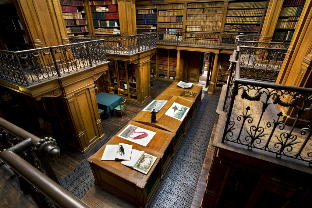 Bibliotheek Teylers Museum: читальный зал 1885 года