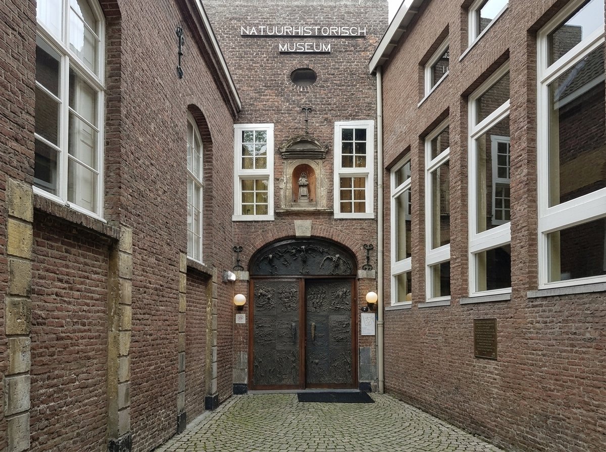Natuurhistorisch Museum Maastricht
