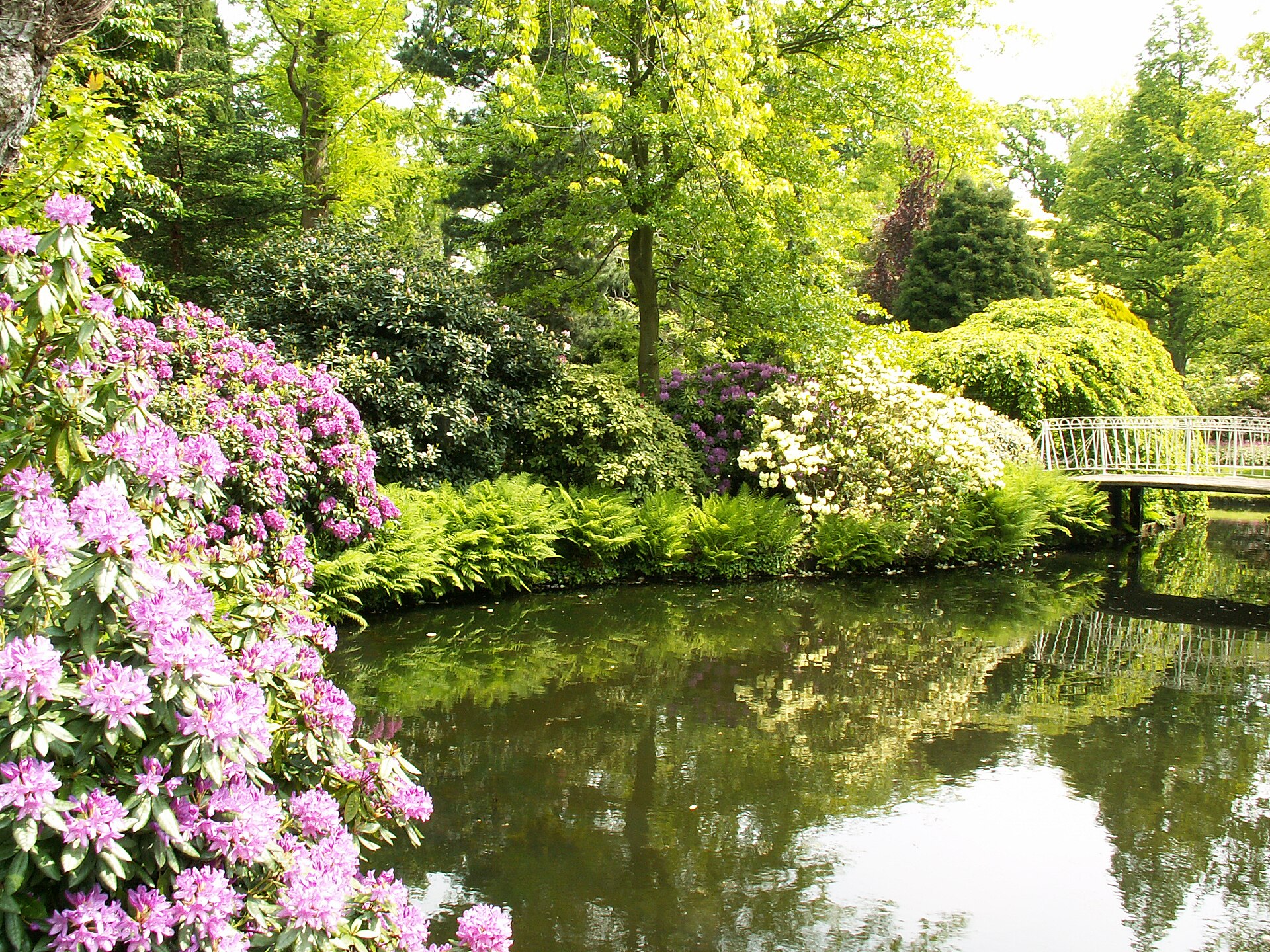 Trompenburg Tuinen & Arboretum, Роттердам