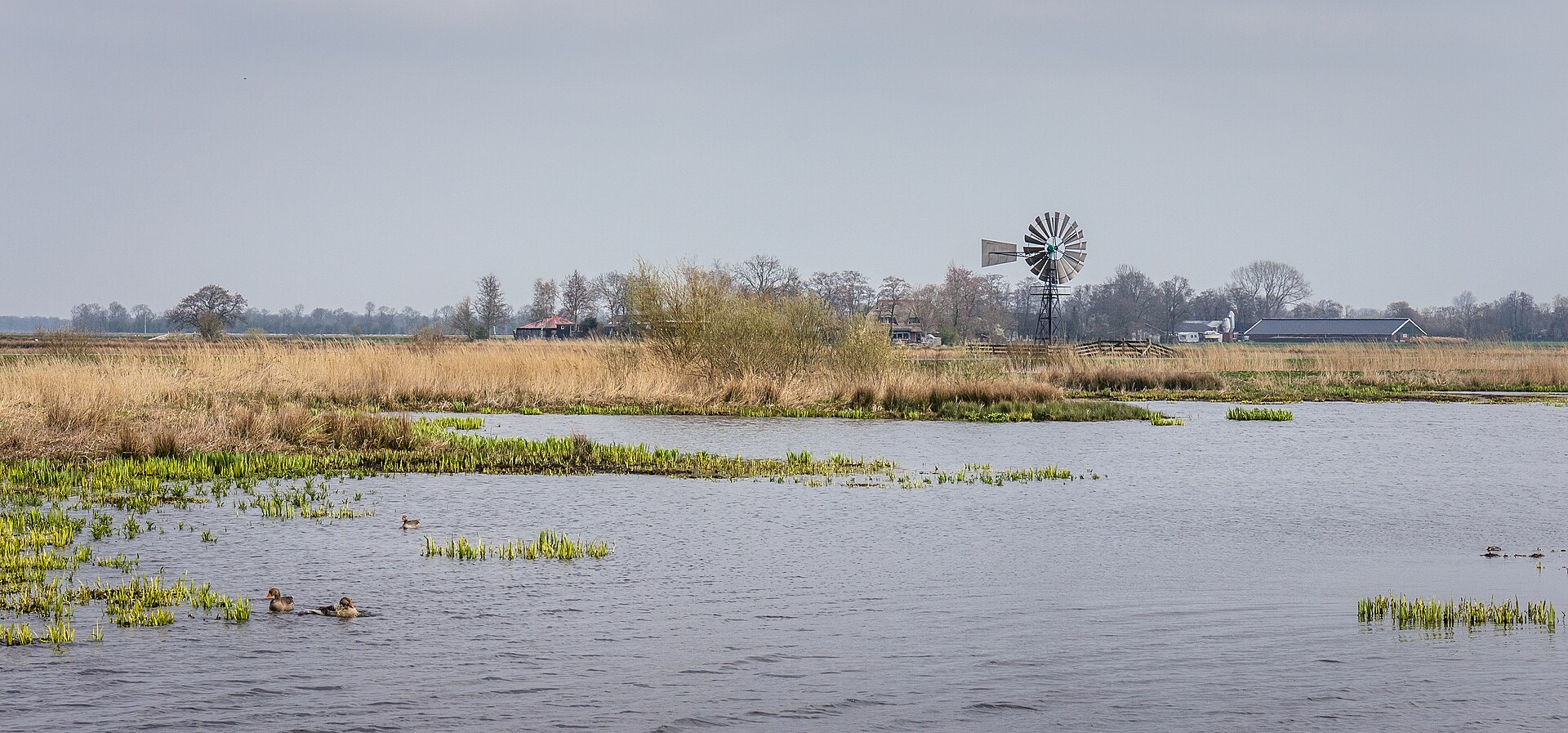 De Alde Feanen: Открытая вода, тростник и мельница