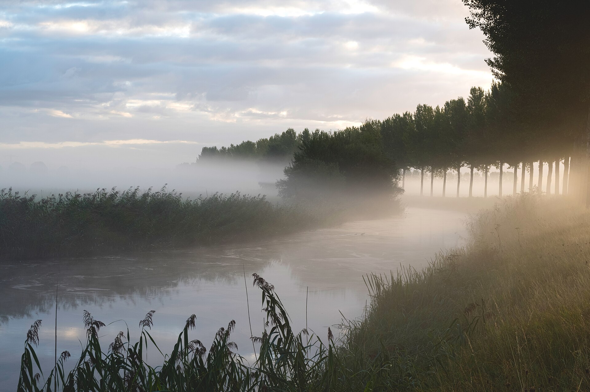 De Biesbosch: Утренний туман над протокой Noorderels