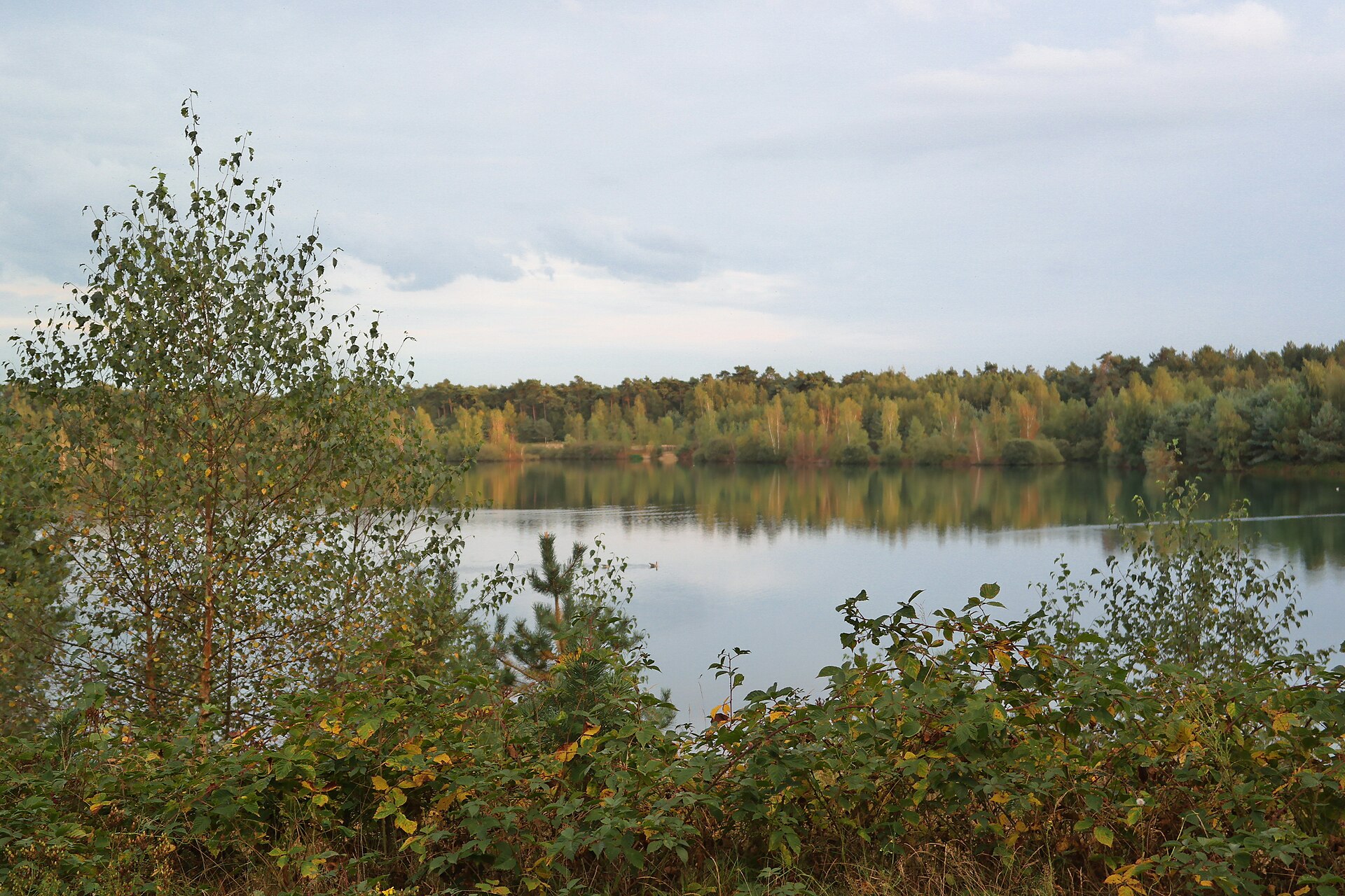 De Maasduinen: Озёра Blauwe Plassen