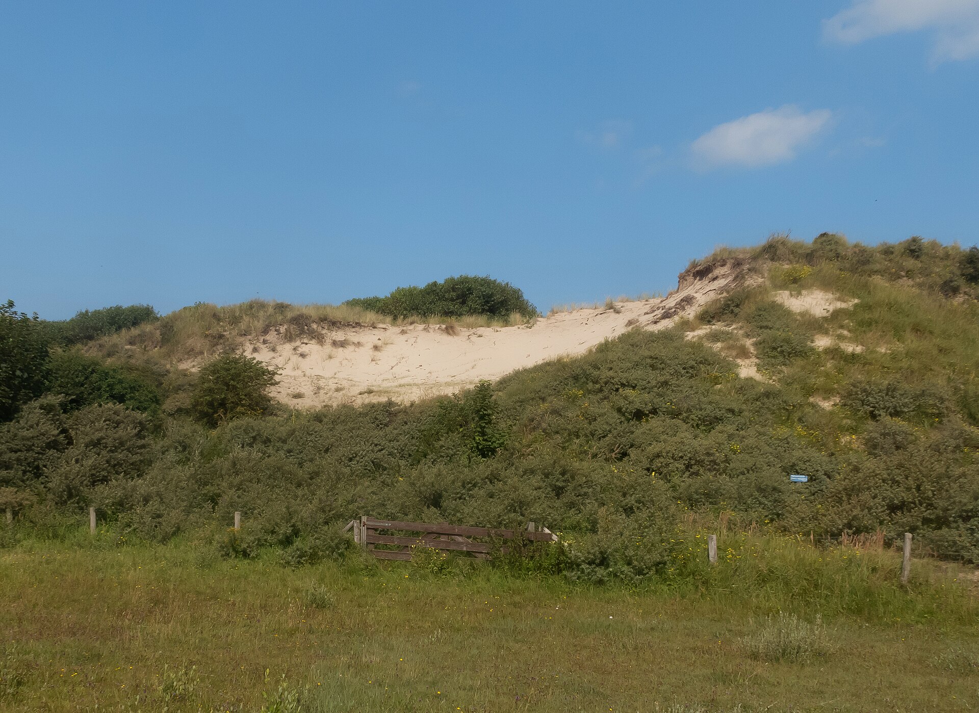 Hollandse Duinen: Дюны Meijendel под Гаагой