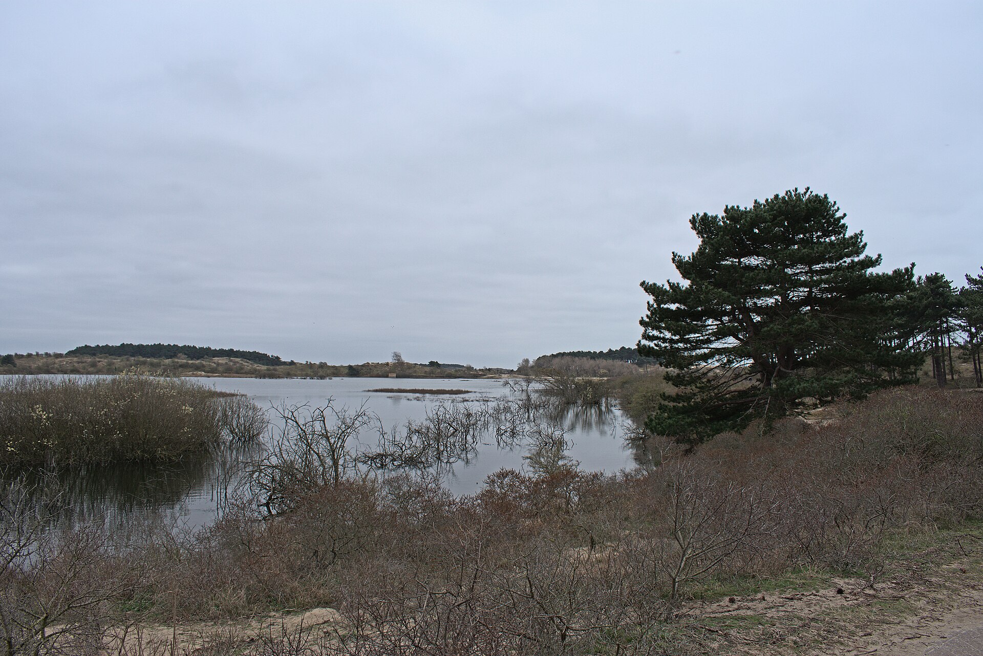 Zuid-Kennemerland: Озеро Vogelmeer в Кеннемердюйнен