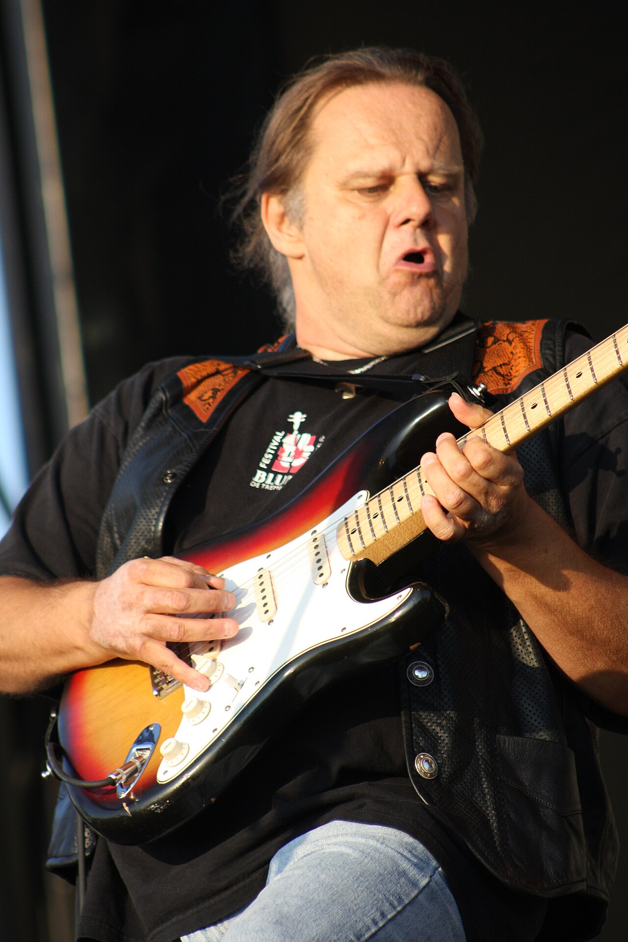 Walter Trout, 2008